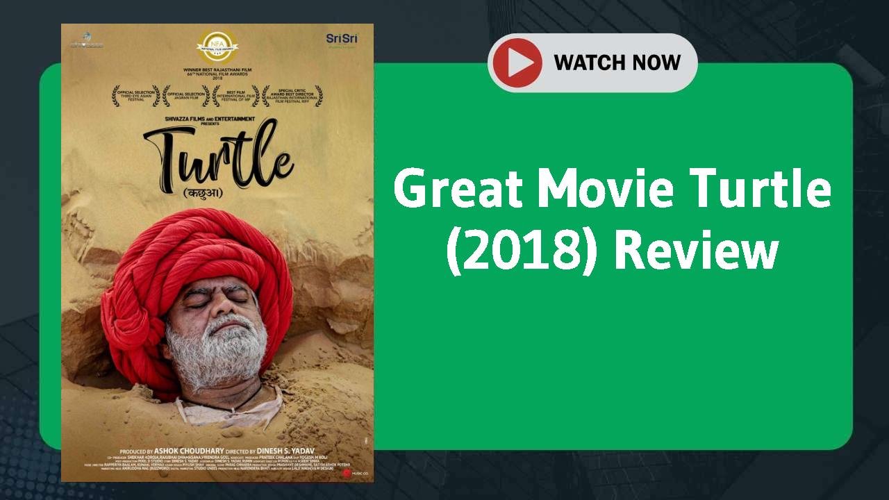 Turtle (2018)